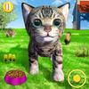 Pet Cat Simulator Family Game Home Adventure Zeichen