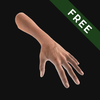 Hand Draw 3D Pose Tool FREE Zeichen