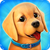 Dog Town: Spiele Hund Spiel Zeichen