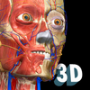 Anatomy Learning - 3D Anatomie Atlas Zeichen